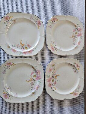 Vintage Edwin M. Knowles China- Co  35-7   (G6)